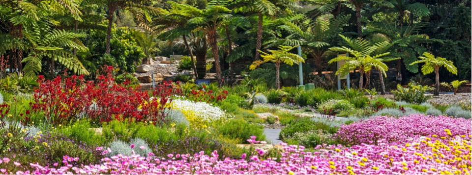 Australian Botanic Gardens at Mount Annan 